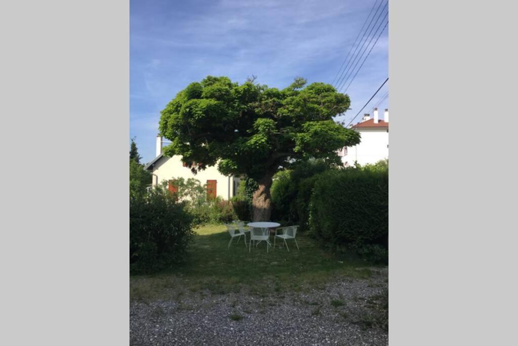 Appartement Le Coteau - Centre Ville, Jardin&parking!