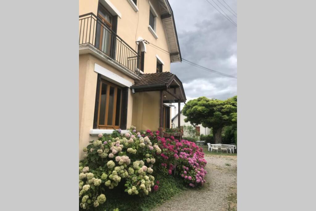 Appartement Le Coteau - Centre Ville, Jardin&parking!