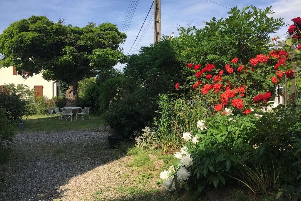Apartamento Le Coteau - Centre Ville, Jardin & Parking! *